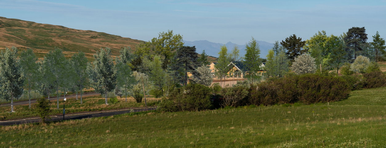 Important Tree Planting Programme at New Crematorium