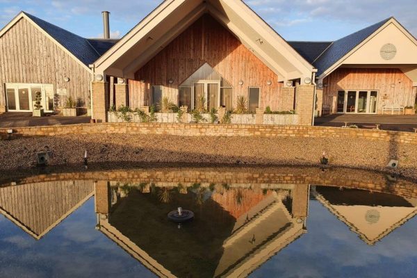 Pond reflections 1